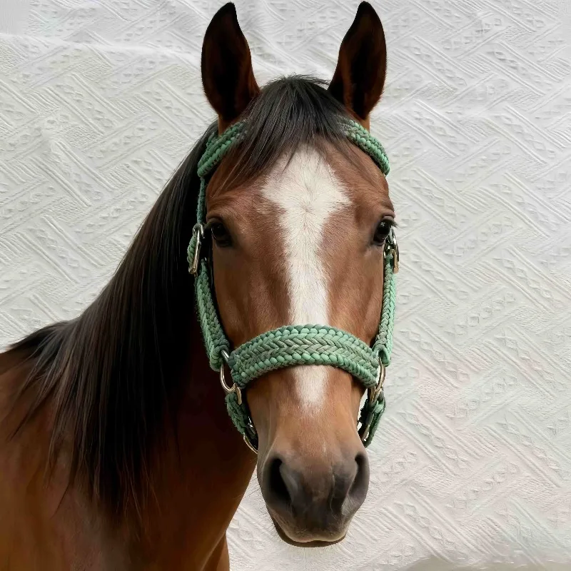 2025 بالجملة رسن حصان شخصي ناعم ولكن قوي حبل نايلون تصميم شعار مخصص خيار معدات الحصان