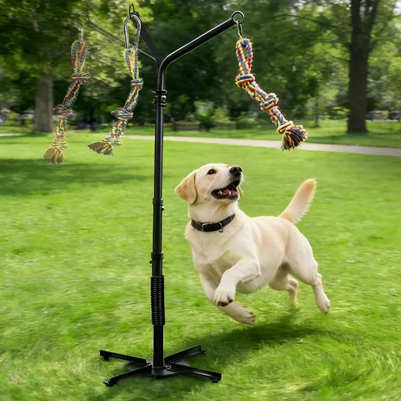 Tether Tugboat Outdoor Dog Toy Outdoor Dog Leash Toy with Reinforced Spring Bar Yard Tether