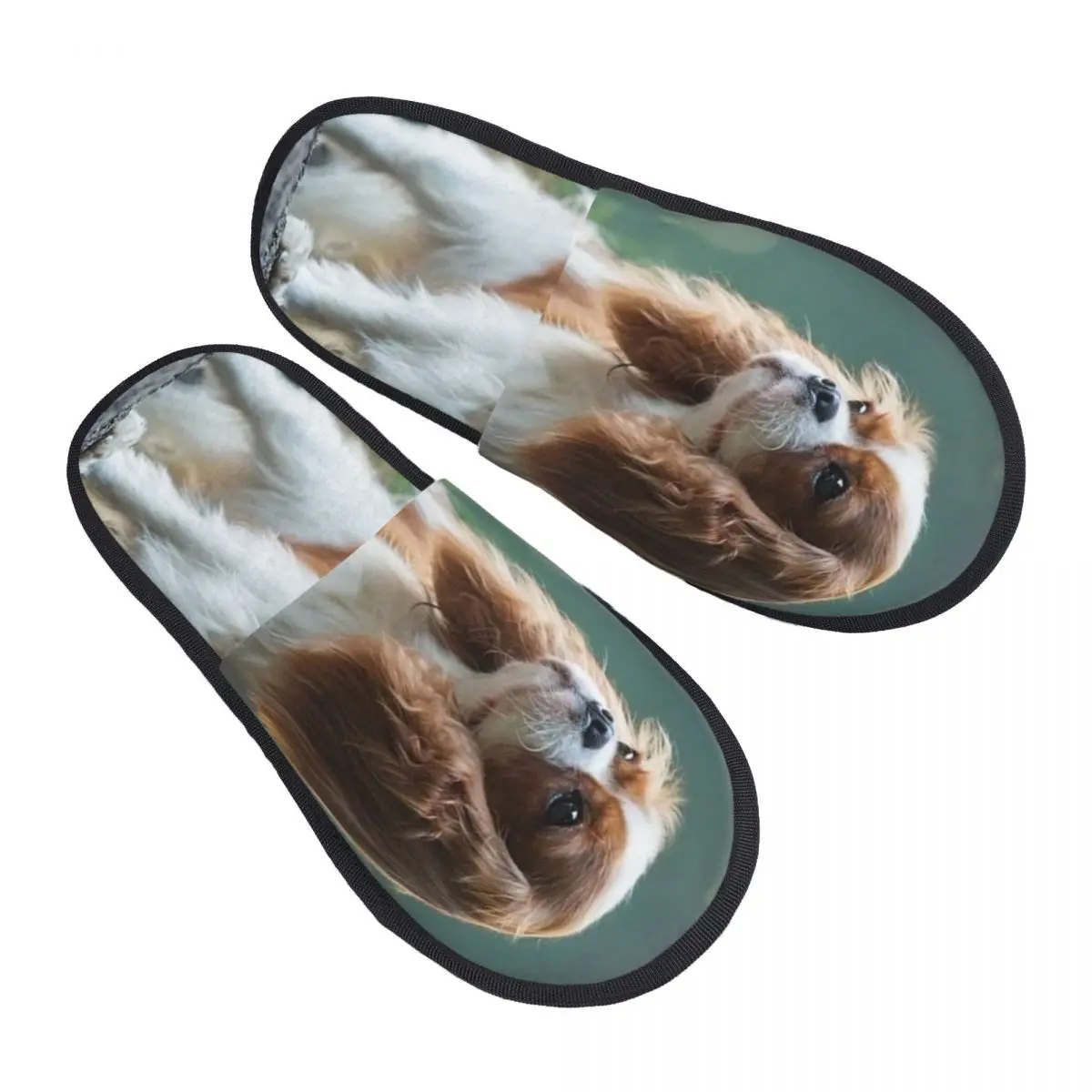 Cavalier King Charles Spaniel Dog House Slippers Women Cozy Memory Foam Slip On Bedroom Slipper Shoes