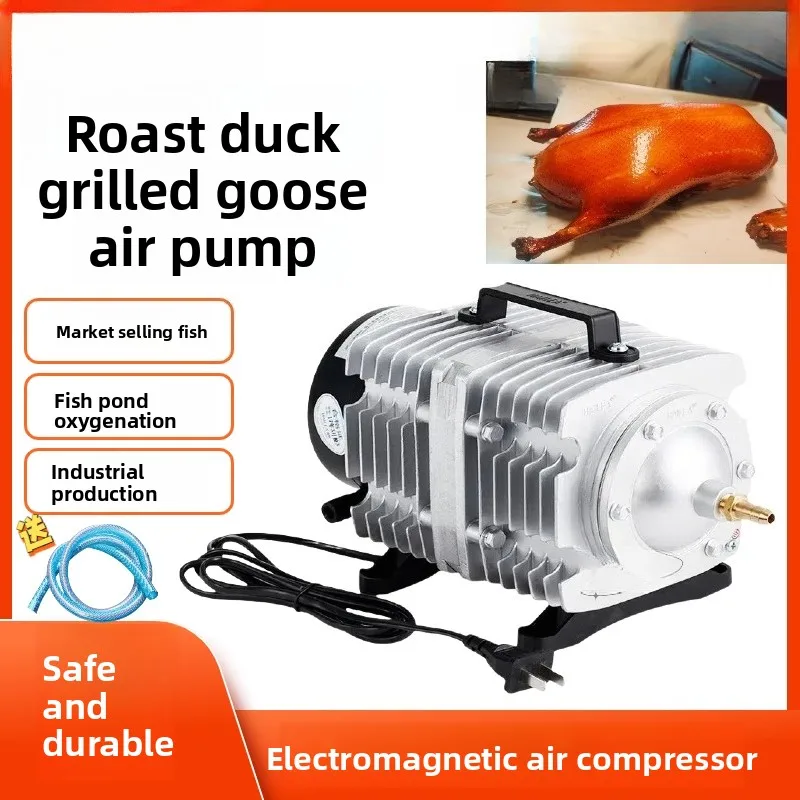

Electromagnetic Oxygen Aerator Pump - 60Hz for Laser Cutting & Food Processing Air Supply