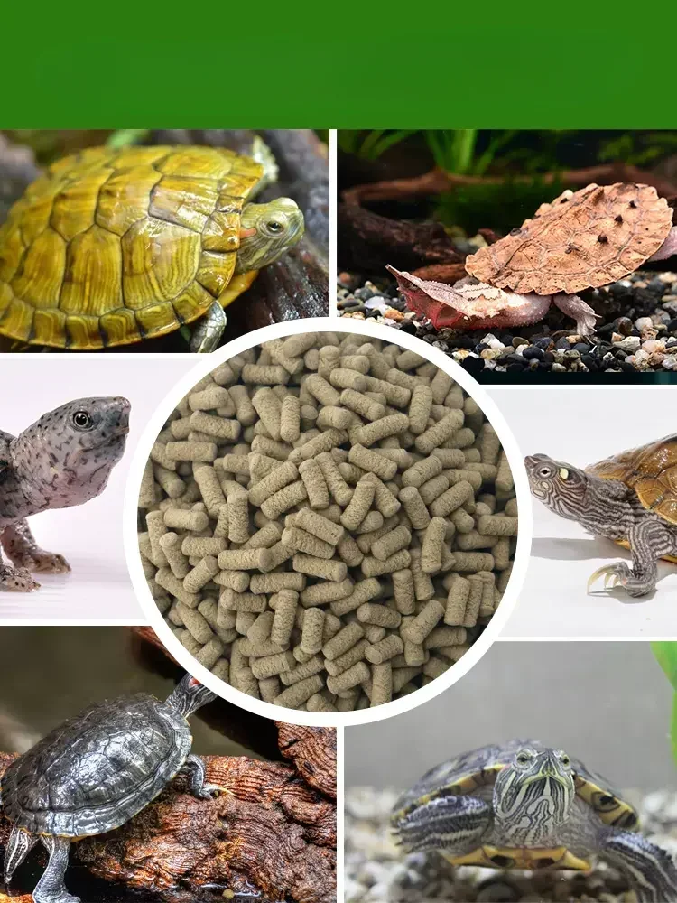 Tetra Turtle Food Contains Calcium Which Promotes Bone Growth