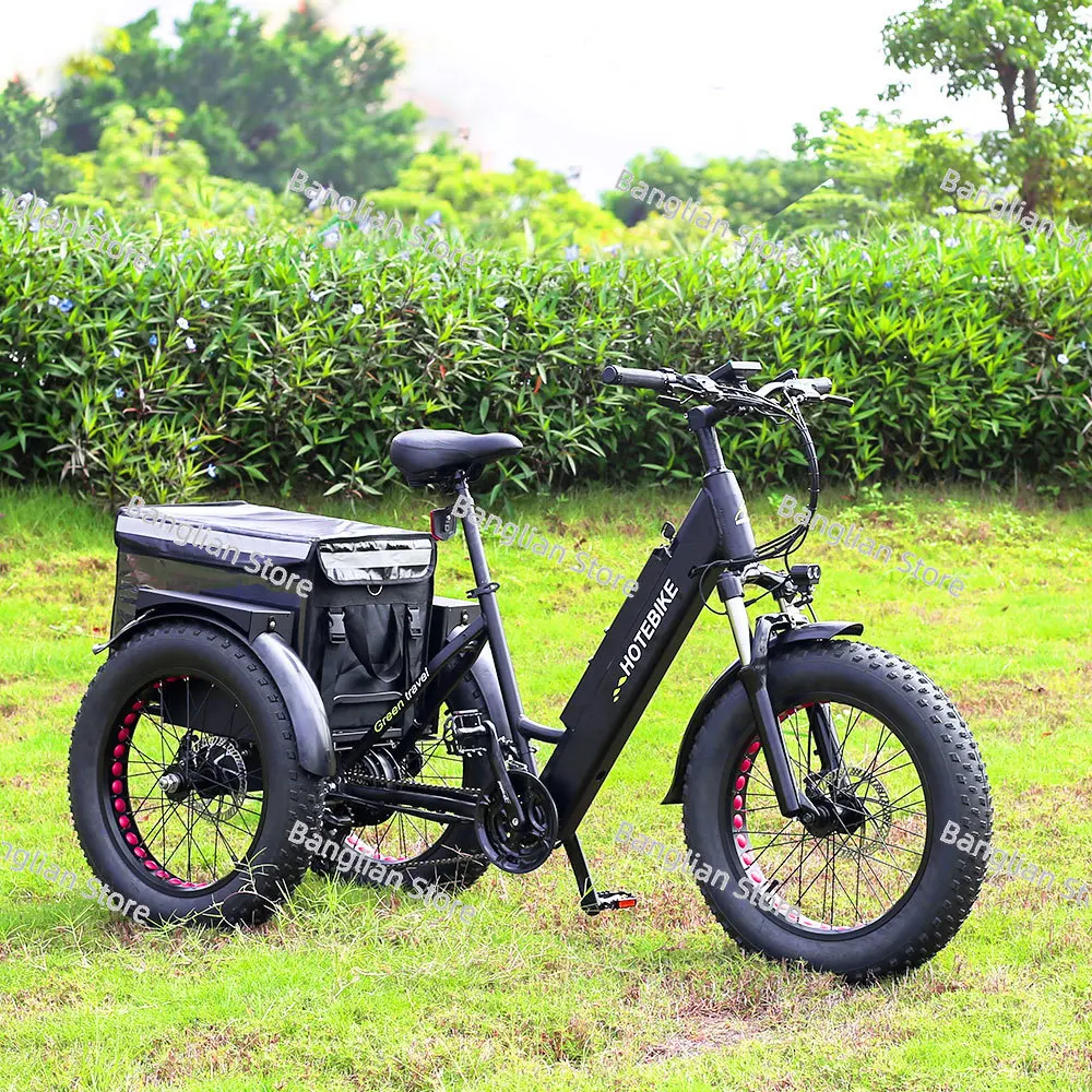 

Electric Cargo Tricycle with Fat Tire, Electric Delivery, High Speed, 3-wheel Ebike, 36V, 350W, 20x4.0 in