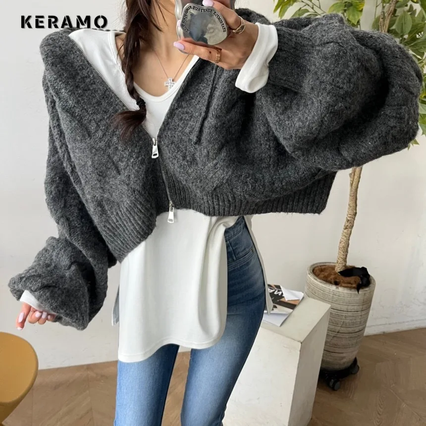 2025 Summer Women's Casual Zipper Knitting Long Sleeve Cardigans Korean Solid Color Loose Fit Hooded Coat Fashion Sweater