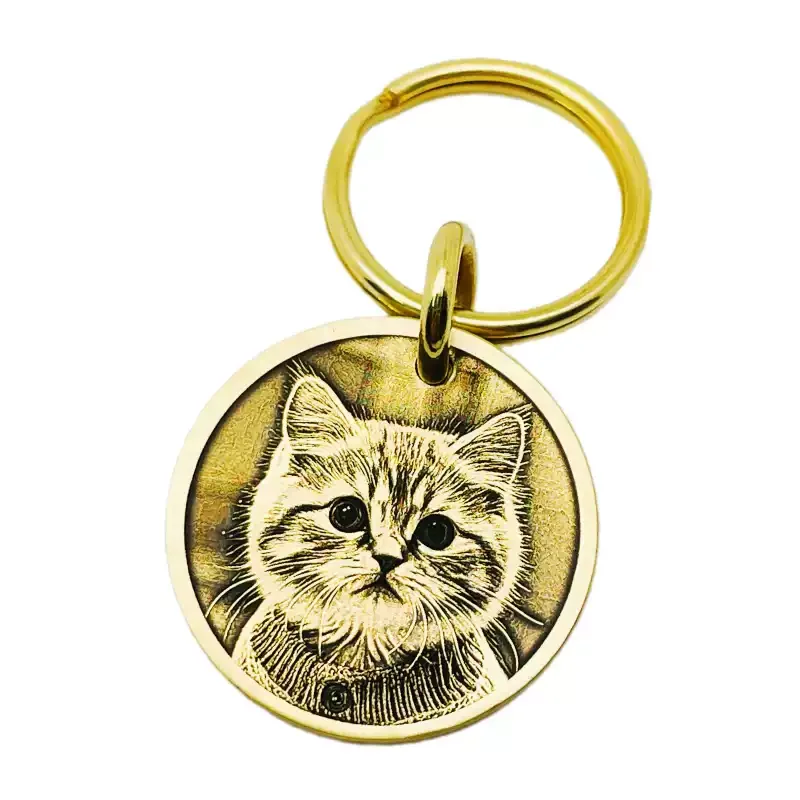 Custom Deep Engraved Pet ID Tag, Personalized Photo Cat Dog Anti-Lost Tag, Portrait Memorial Gift Keychain Pendant