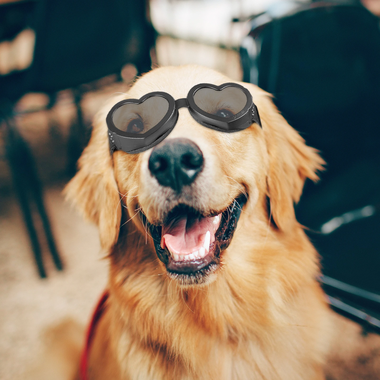 

Pet Glasses Windproof Dog Goggles Sunglasses PC TPEE Material Small Dogs Outdoor Eye Wear Protective Accessories Cool Style