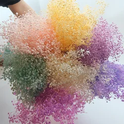 Natural Dried Flower Million Babybreath Bouquet Wedding Decoration Dry Eternell Mini Gypsophila Home Valentine's Day Arrangement