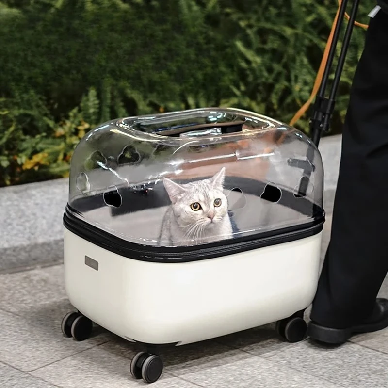

Pet trolley case cat bag going out portable large capacity cat bag trolley case pet going out bag cat packaging two