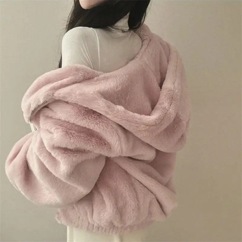 Hooded Plush Thick Section Wool Jacket Women\'s Fall And Winter Padded Thickened Zipper Warm Short Coat Cute New Fashion