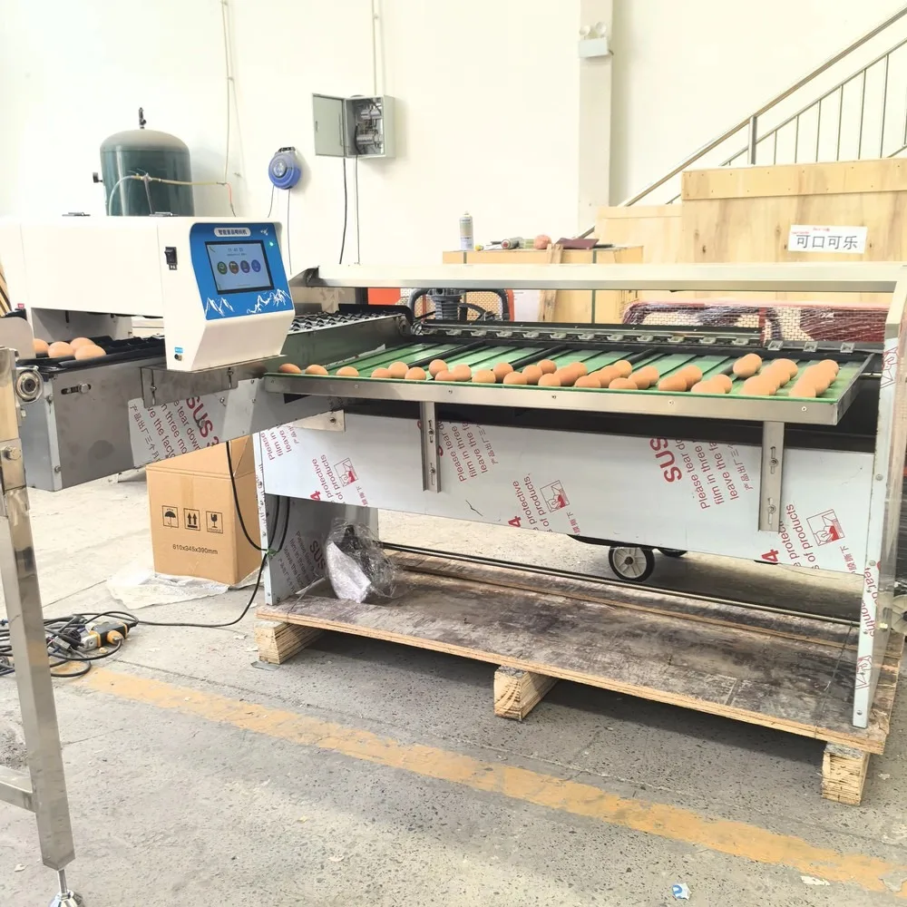 Industrial Automatic Egg Grading Sorting Machine Poultry Farm Equipment Egg Classifier High Efficiency Durable