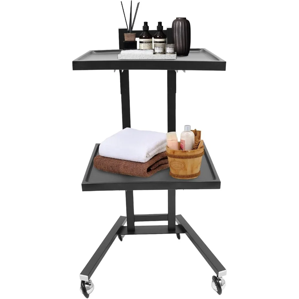 

2 Tier Metal Rolling Cart Foldable Salon Tray with Wheels Rolling Tray Salon Trolley Black Utility Carts Stainless Steel Trolley