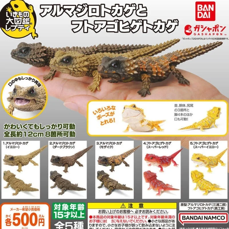 Baidai Armadillo Gi…