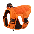 Dog vest