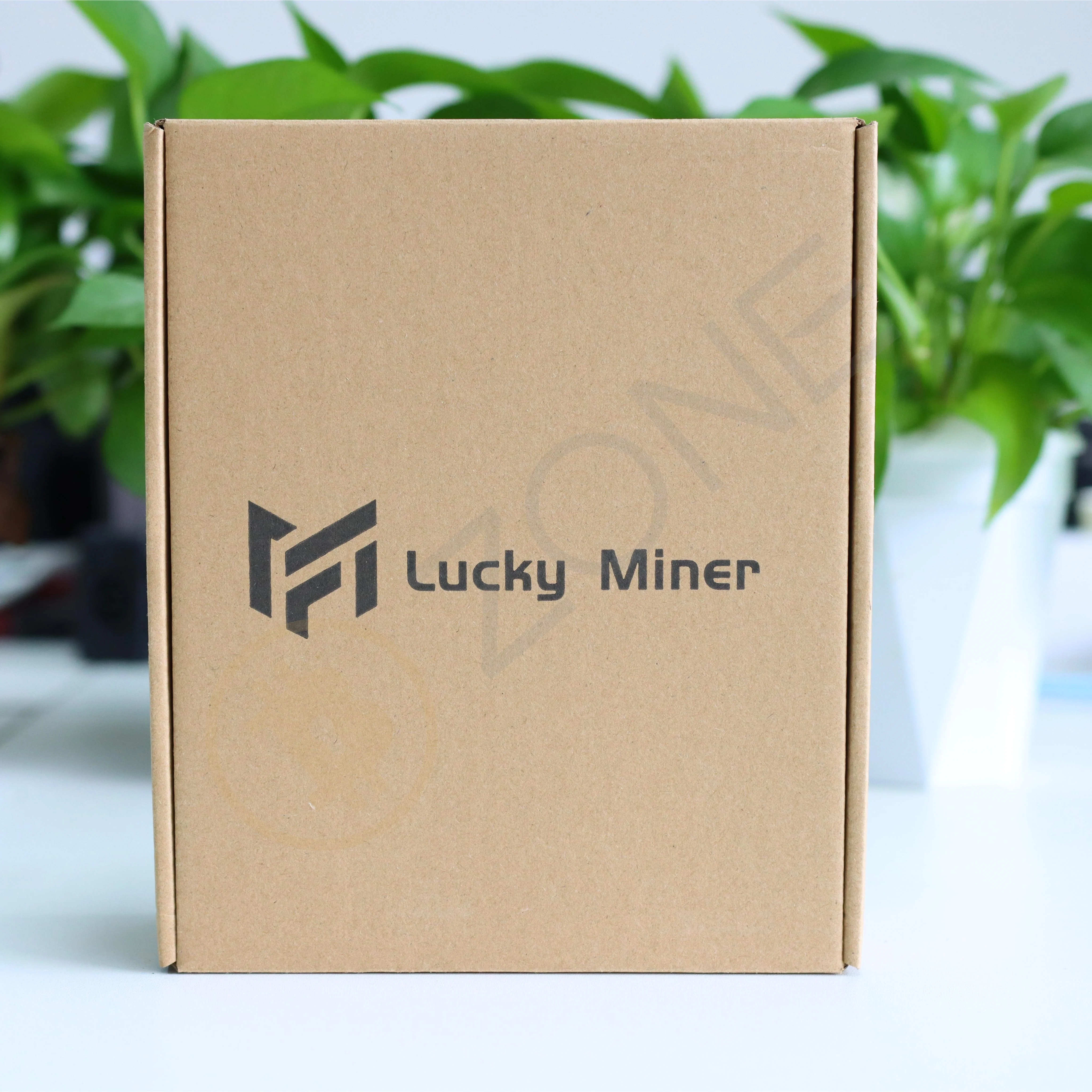 Lucky Miner LV06 Bitcoin Miner 500G Hash Rate 35dB Home Silent Miner WiFi Lotto Machine 15W Laag vermogen met voeding