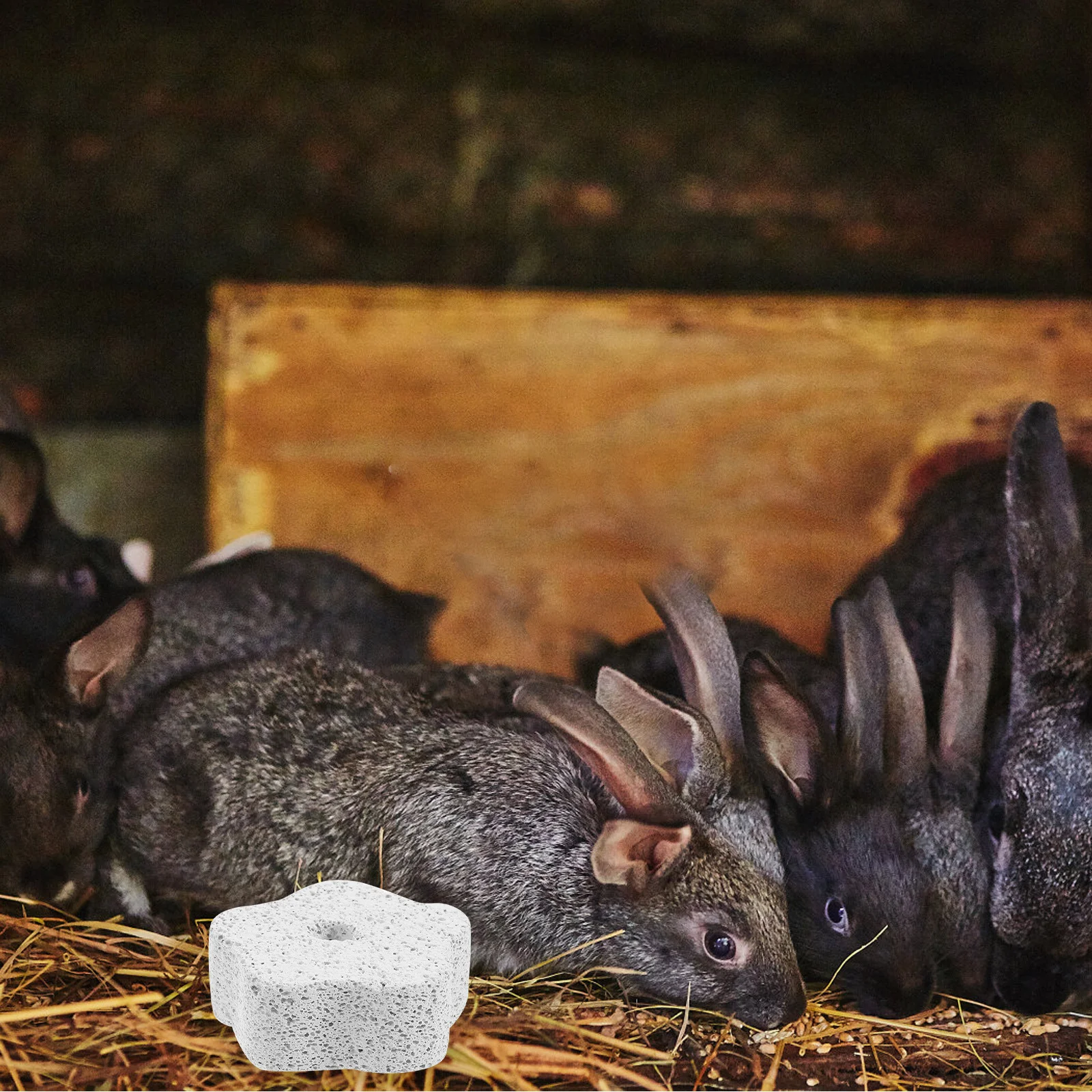 

10Pcs Hamster Molar Stones Grinding Chews Small Pets Dental Health Hamsters Teeth Grinding Stone