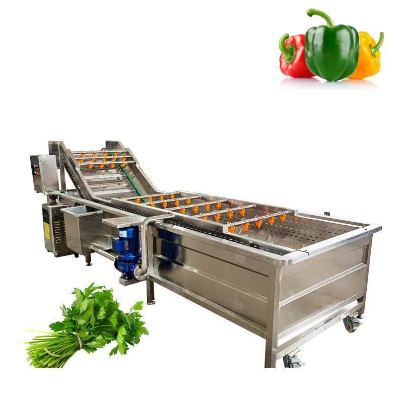 Industrial High Capacity Fruit and Vegetable Washer with Bubble Brush and Spray Technology
