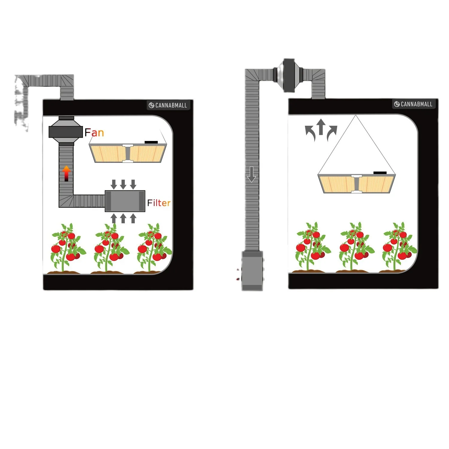 Samsung 301H perle de lampe version quantique support de lampe végétale