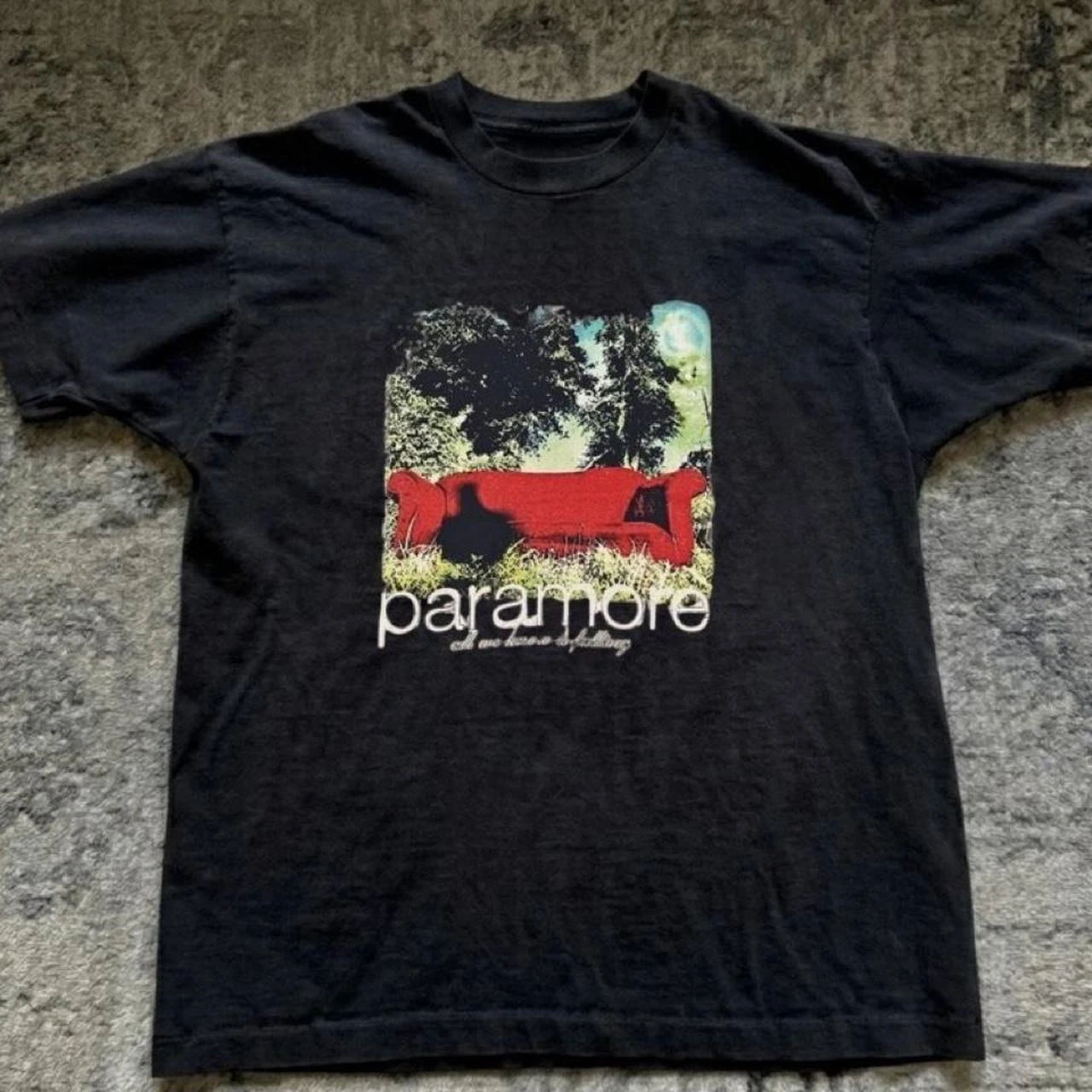 Paramore Rock Band T-shirt, Printed Pattern, Unisex Printed Street Style Fan T-shirt for Both Men and Women