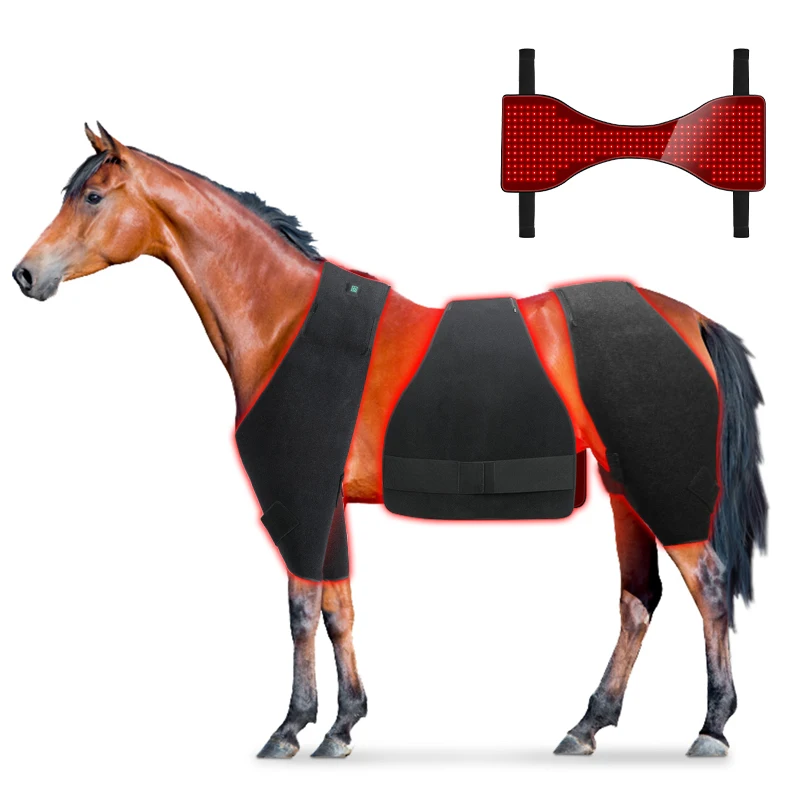 Equine Red Light Therapy Pad Horse For Horse Buttocks, Abdomen, Front Legs And Hind Legs
