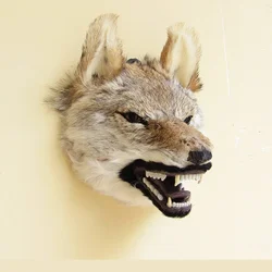 Simulation Wolf Head Animal Hanging Decoration, Real Coyote Fur, Wall Decoration, Bar, Living Room, Halloween Party, Collection