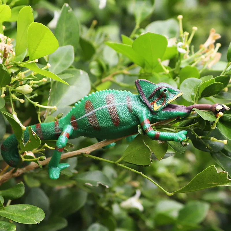 Ornements en plastique pour l'éducation des reptiles, modèle d'animaux de simulation, lézard solide, phrynosome caméléon, nitif léopard nitif amphibie, enfants