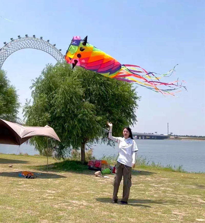 Novos pipas windsocks 3d pipas caudas grandes pipas para adultos acessórios pipas macias brinquedo ao ar livre pára-quedas kitesurf