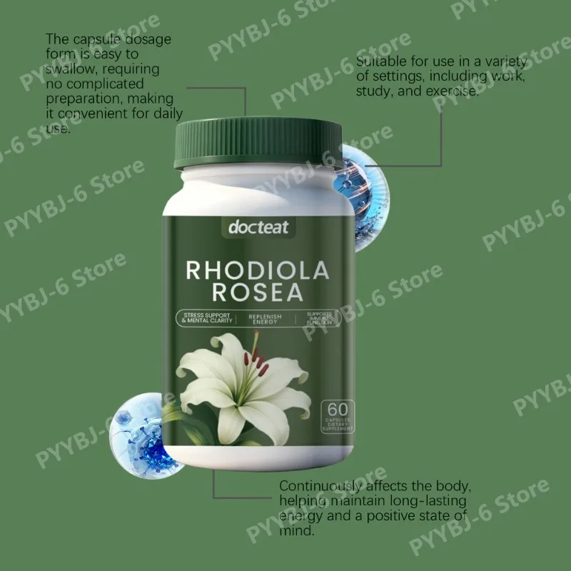 

Rhodiola Rosea Extract Capsules Energy Support Management & Focus Support Daily Wellness Formula for Adults Non‑GMO 60 Capsules
