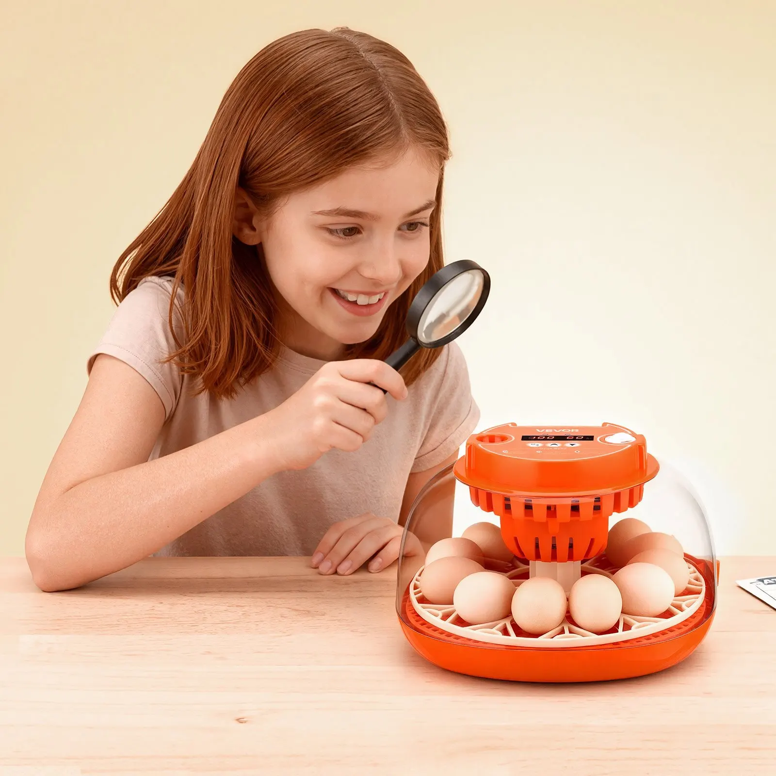 

12 Egg Incubator, Automatic Egg Turner with LED Candler, Temperature & Humidity Control, 360° View Clear Window, Poultry Eggs