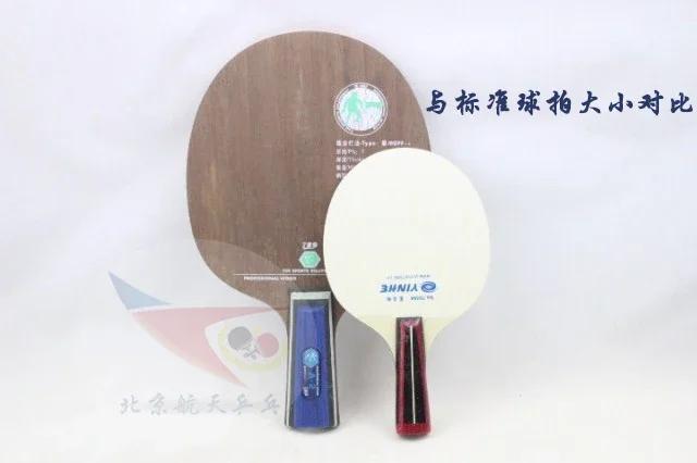 Mini-Tischtennisschläger, Souvenir-Sammlung, Display, kleiner Schläger mit Pingpong-Finish für Kinder, Schläger mit Signature Interest – Detail 20