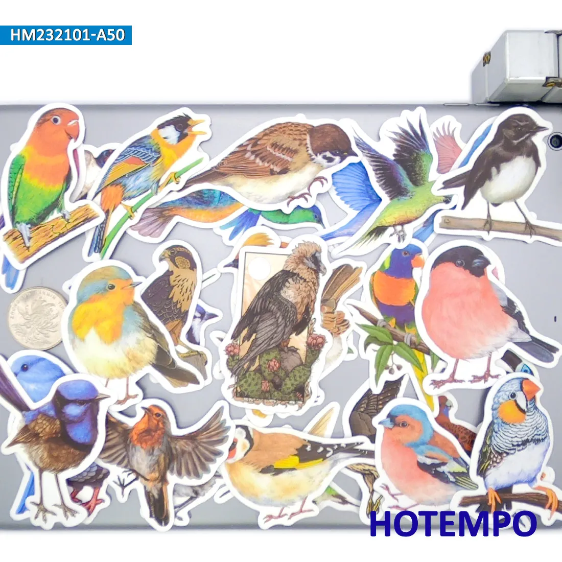 鳥のステッカーセット、水彩スタイル、かわいいカラフルな羽の動物、装飾、ノートパソコン、車、電話、バイク、スクラップブック、荷物に適しています、面白いステッカーパック、20/30/50枚