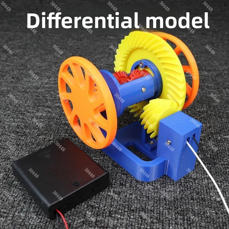 Large-scale Automotive Differential Model - Differential Turning Mechanism, Conical Gear Transmission, Educational Equipment