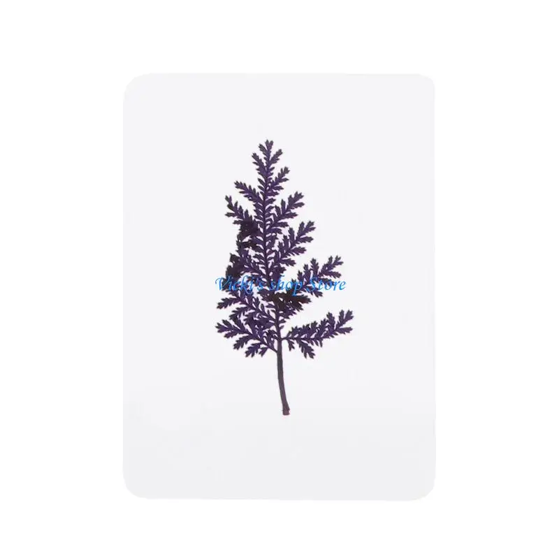 الأوراق المجففة الطبيعية مزيج الصحافة زهرة أوراق النبات عينة DIY بها بنفسك الراتنج الحرف