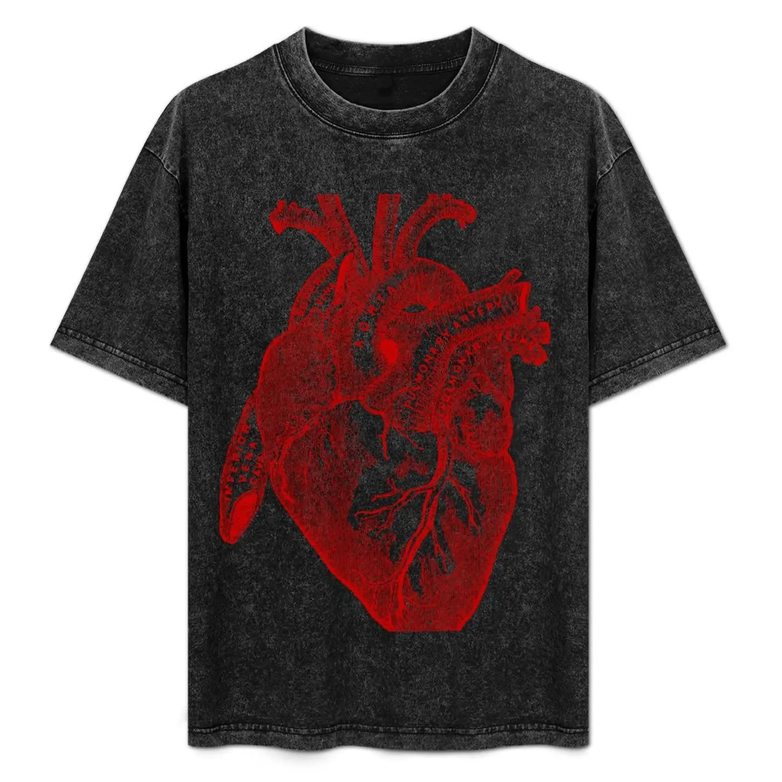 Human Anatomy Heart T-Shirt Big Size Short Sleeve Casual Top