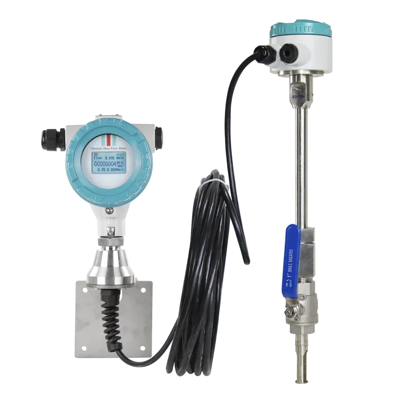 Explosion-Proof Thermal Mass Flow Meters for Compressed Air Accurate Flow Measurement in Hazardous Environments