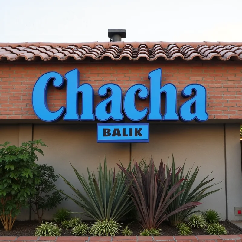 Custom 3D LED Illuminated Metal Letters Sign For Business Storefront Outdoor Waterproof Frontlit Light Up Advertising Signage