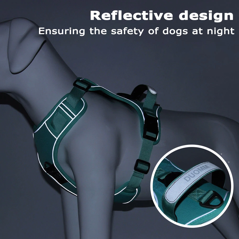 Dog Harness & Leash Set 5