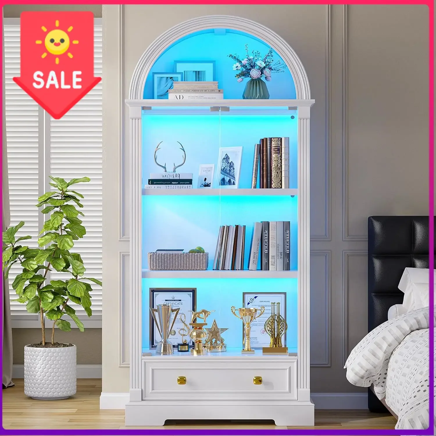 Arched Display Cabinet with Glass Doors & LED Light | 72