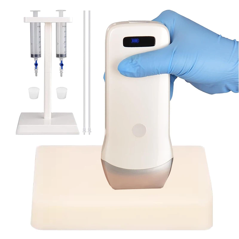 Ultrasound Guided Vascular Puncture Training Model Simulation Blood Circulation Medical Teaching Education