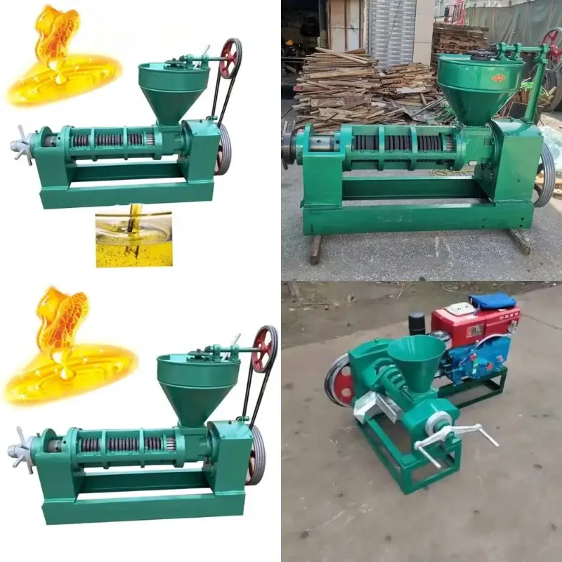 

Efficient Home Screw Oil Press Cold Hot Pressing Machine for Various Oil Seeds