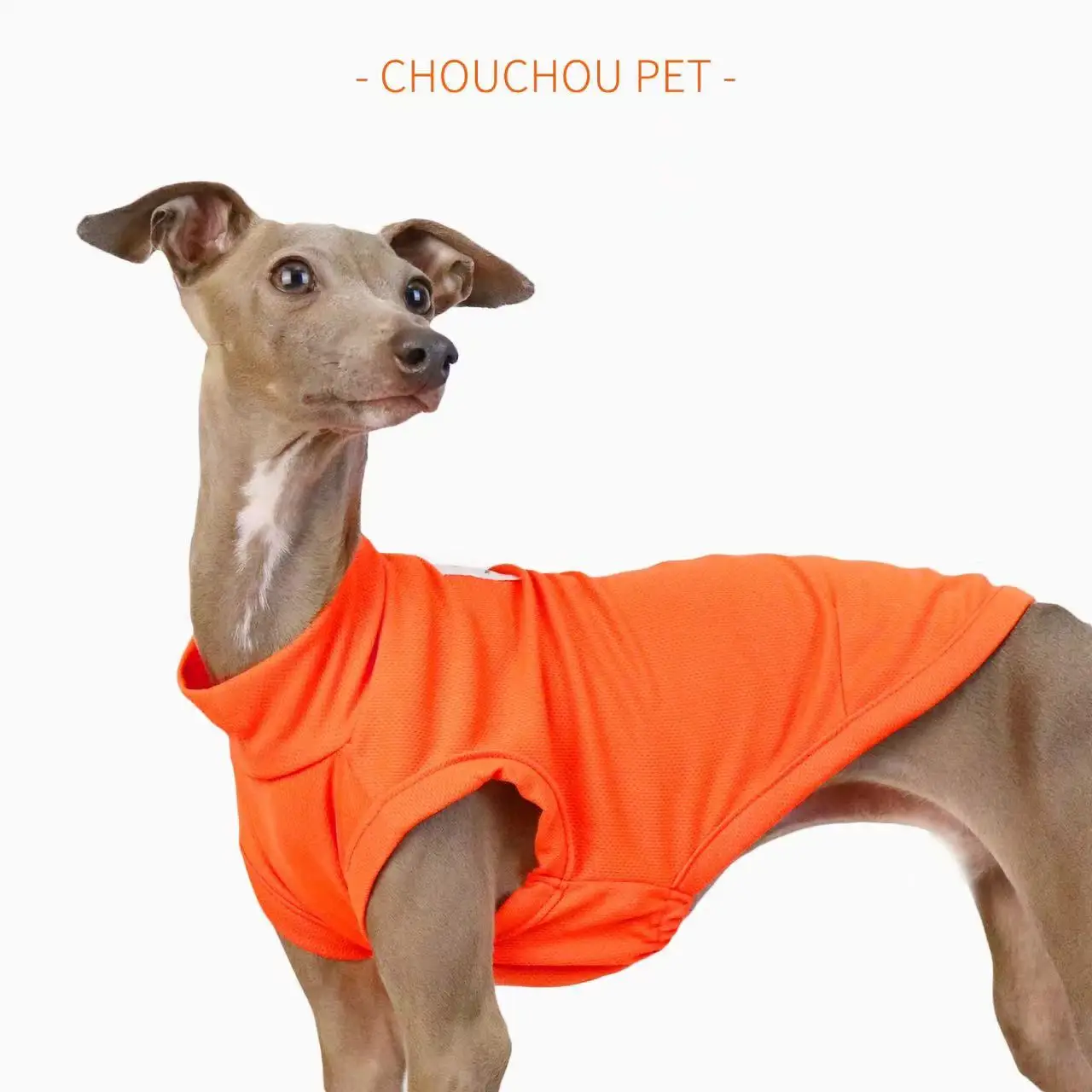 Summer Breathable Dog Vest Outdoor Sun Protection Pet Clothes Cool and Comfortable Iggy Whippet Small and Medium Dog Clothes