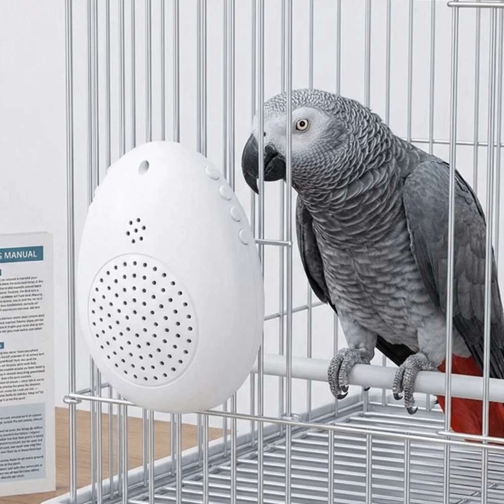 Máquina de Grabación de Aprendizaje de Aves, Máquina Interactiva de Entrenamiento de Voz Controlada por Temporizador, Reproducción de Fuente de Audio Multisegmento
