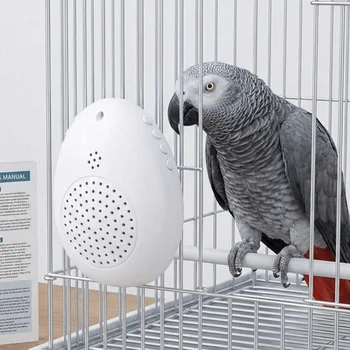 Interactive Bird Speech Training Recorder 1