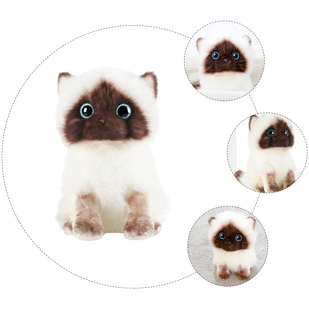 Jouet en peluche en forme de chat, jouet en coton PP, jouet en peluche, forme adtossiamoise