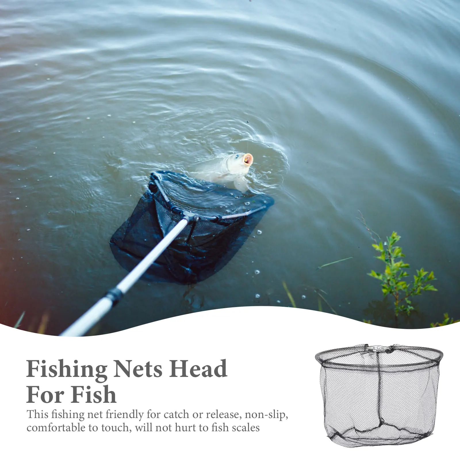 

Fishing Gear for Net Head and Equipment Round Folding Accessories Stainless Steel Catching Baby Tool