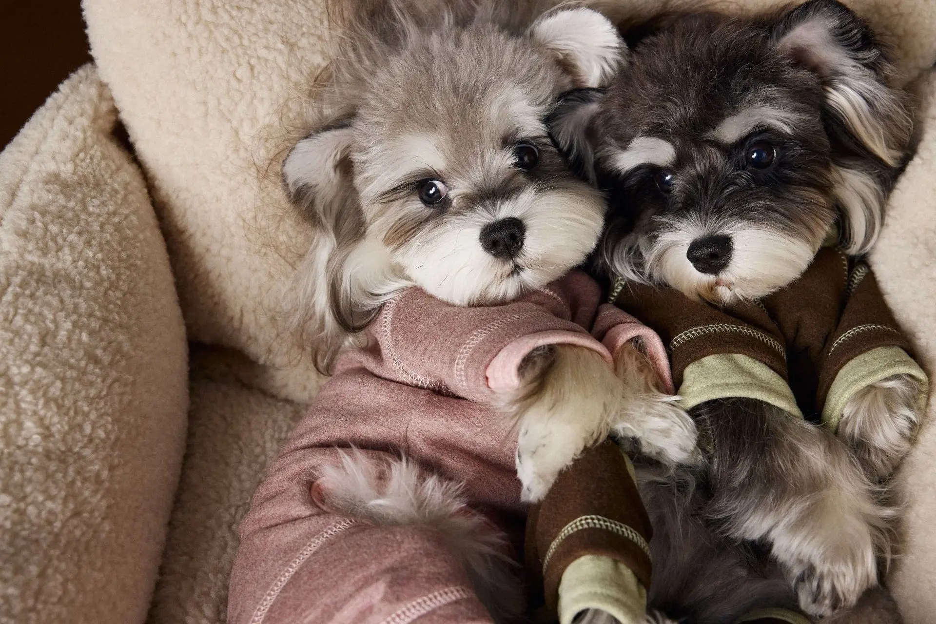 

Warm And Comfortable Pet Four-Legged Clothing Silk And Wool Suitable For Small Dog Innerwear Puppy Pajamas