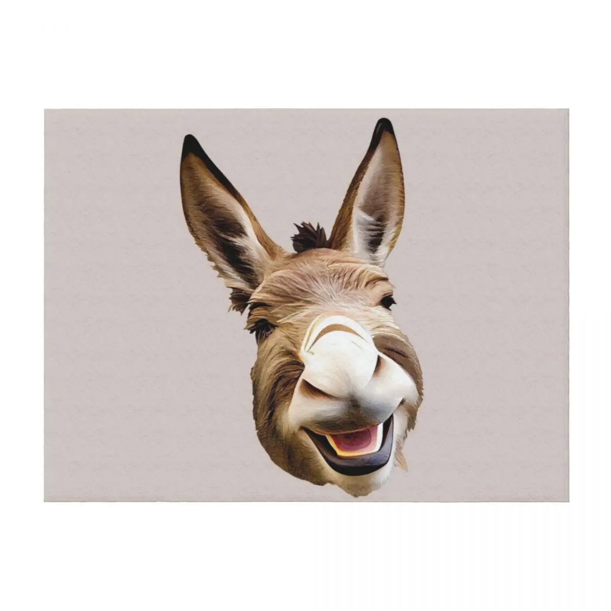 

A Smiling Funny Donkey Throw Blanket Warm Plaid Stuffeds warm for winter Blankets