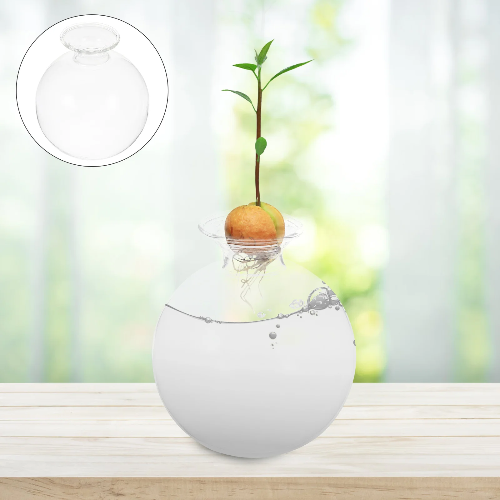 

Avocado Hydroponic Flower Vase Clear Glass Avocado Tree Planting Pot Water Plant Vase Succulent Planter Decor Bookshelf Decor