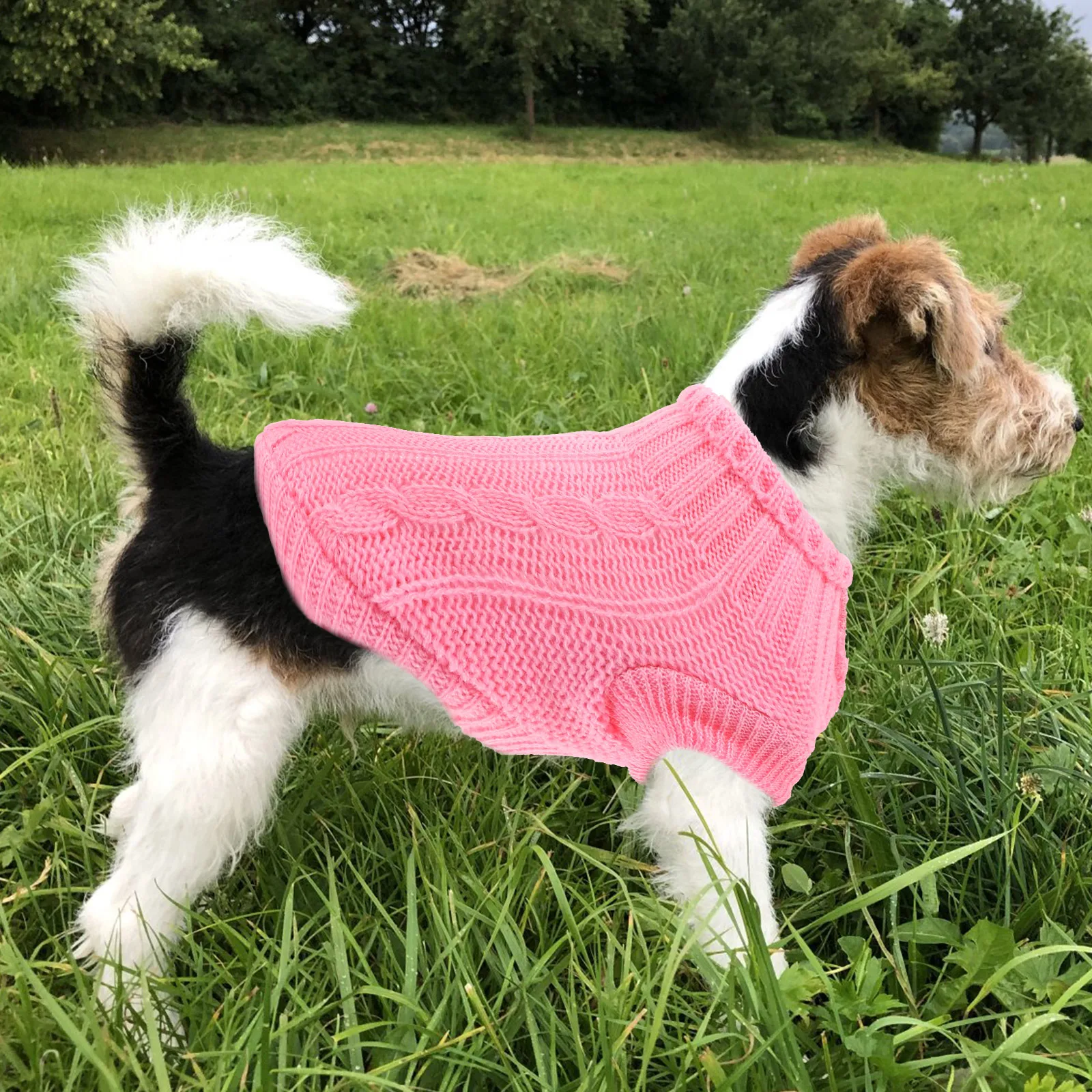 

Dog Sweater Small Size Puppy Winter Clothes Warm Pet Sweater For Dogs Cute Outdoor Wear Comfortable Dog Clothing Decor