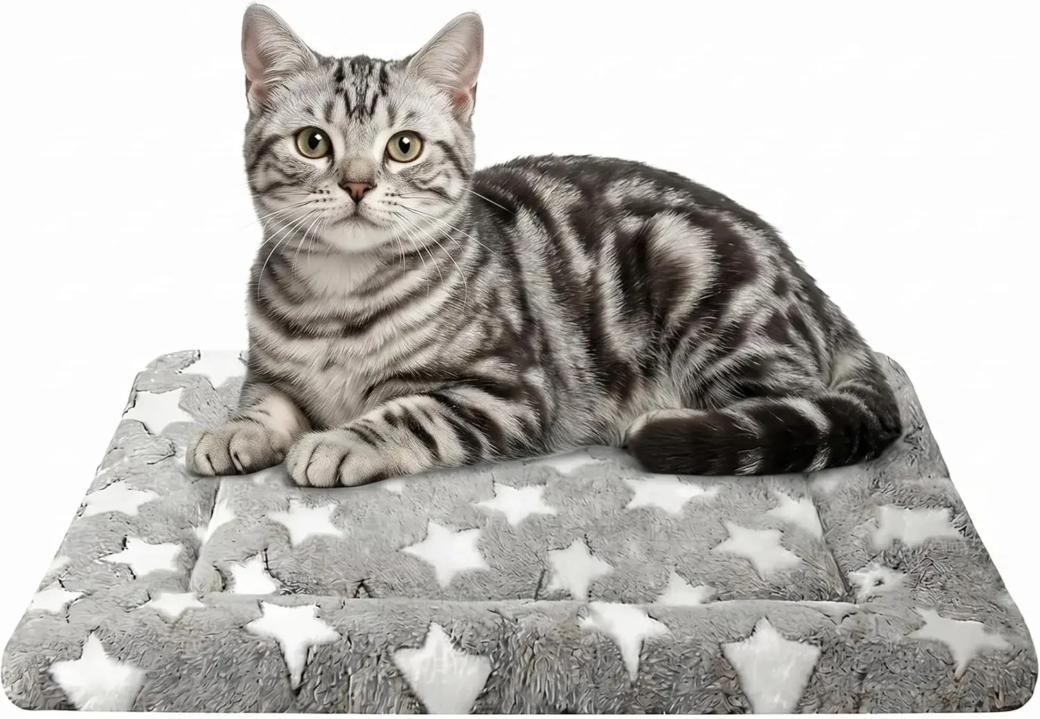 Reversible Pet Bed Mat - Soft Plush & Cool Fabric, Portable Crate Pad for Small Dogs & Cats
