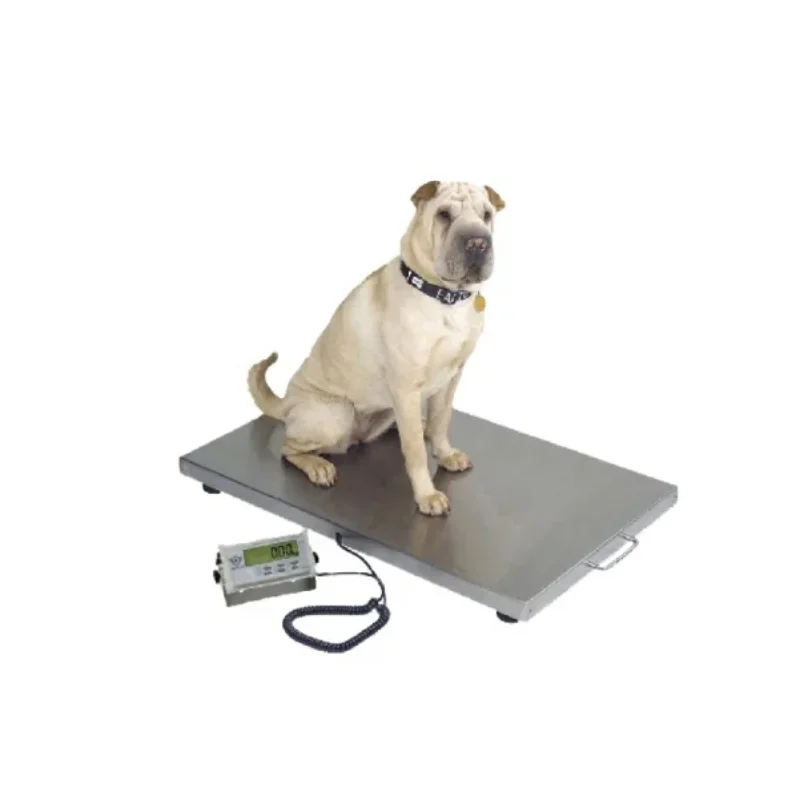 WOS-4824 Electronic Weighing Scales Walk On Scale For Large Pets Vet Hospital Equipment