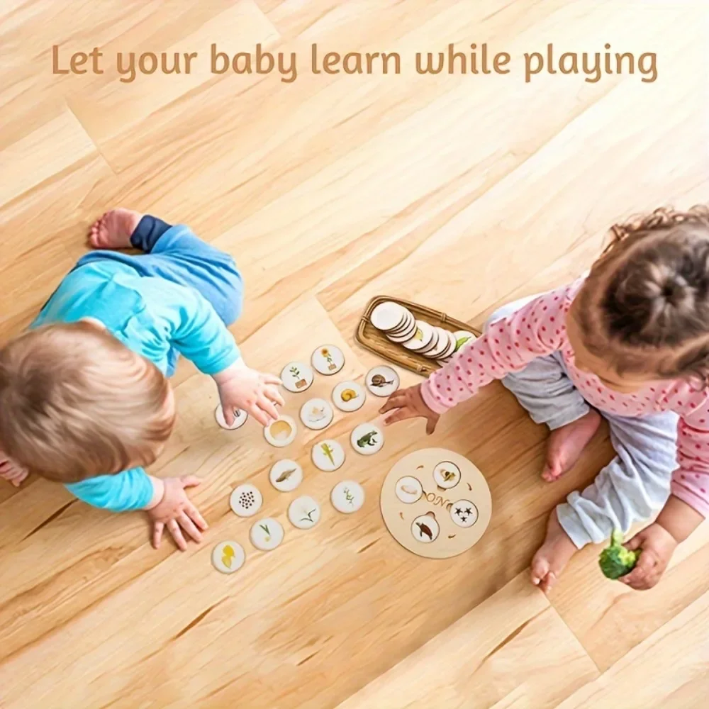 1 Satz Holz Life Cycle Board Montessori Kit, Wachstums zyklus rundes Stück kognitiv, Kinder biologische Wissenschaft Lernspiel zeug